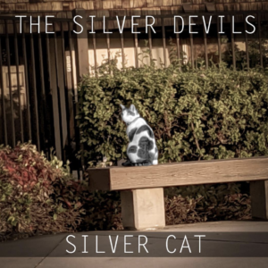 THE SILVER DEVILS SILVER CAT