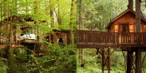 Now You Can Rent A Treehouse On Airbnb