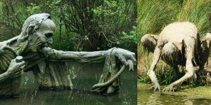 The Story Behind These Swamp Creatures