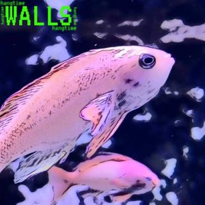 Walls is Hangtime's Ep | Indie Music