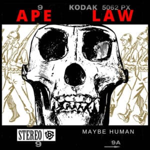 Ape Law is Maybe Human's Album