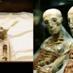 Peru's Puzzling Alien Mummies Make a Splash in Mexico